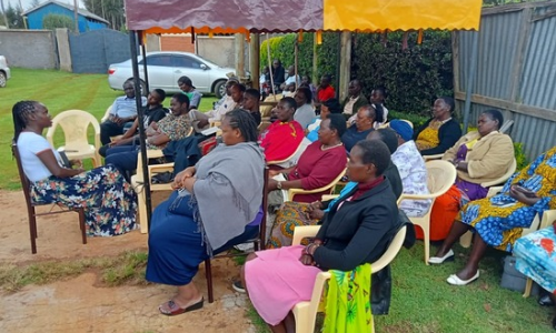 I am a Psychiatrist in Kenya offering Mental Health Services.